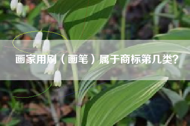 画家用刷（画笔）属于商标第几类？