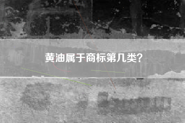 黄油属于商标第几类？