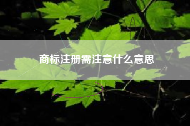 商标注册需注意什么意思