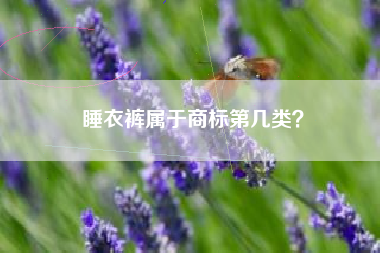 睡衣裤属于商标第几类? 睡衣裤属于商标第几类?
