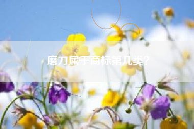 磨刀属于商标第几类？