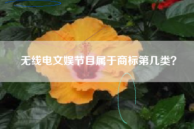 无线电文娱节目属于商标第几类？