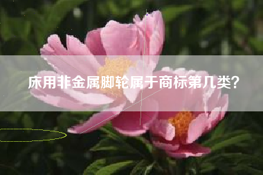 床用非金属脚轮属于商标第几类？