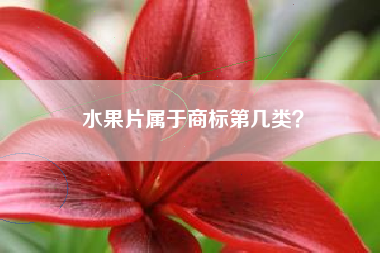 水果片属于商标第几类？