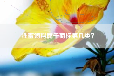 牲畜饲料属于商标第几类？