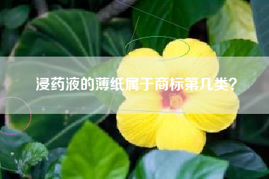 浸药液的薄纸属于商标第几类？