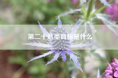 第二十八类商标是什么