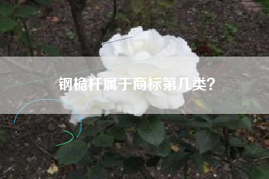 钢桅杆属于商标第几类？