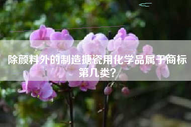除颜料外的制造搪瓷用化学品属于商标第几类？