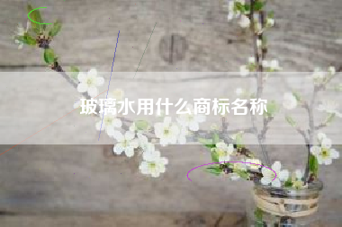 玻璃水用什么商标名称