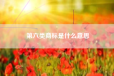 第六类商标是什么意思