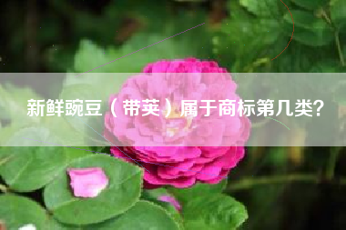 新鲜豌豆（带荚）属于商标第几类？