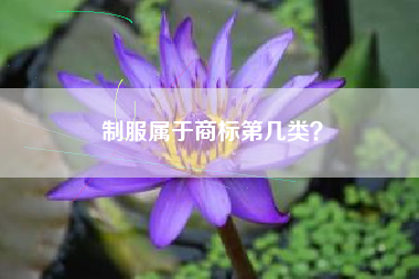 制服属于商标第几类？