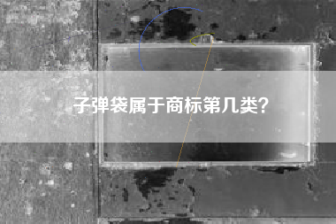 子弹袋属于商标第几类？