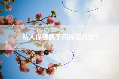 私人保镖属于商标第几类？