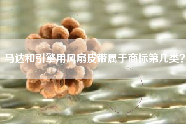 马达和引擎用风扇皮带属于商标第几类？