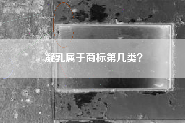 凝乳属于商标第几类？