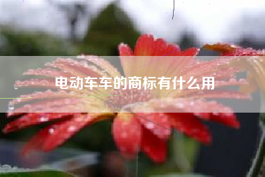 电动车车的商标有什么用