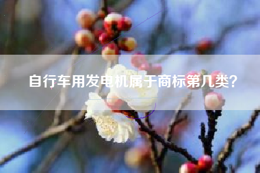 自行车用发电机属于商标第几类？