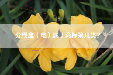 分线盒（电）属于商标第几类？