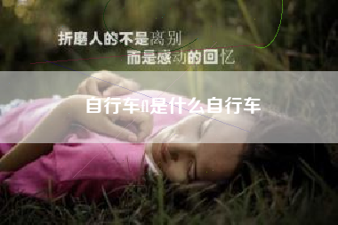 自行车fl是什么自行车