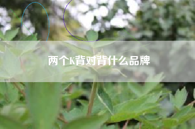 两个K背对背什么品牌