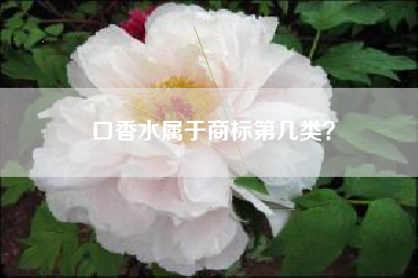 口香水属于商标第几类？