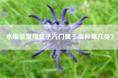 水暖装置用管子汽门属于商标第几类？
