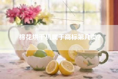 棉花烘干机属于商标第几类？