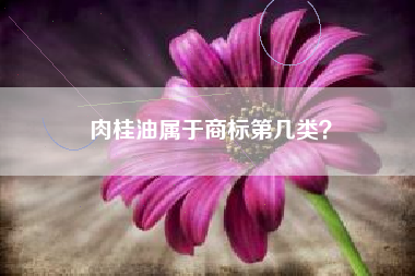 肉桂油属于商标第几类？