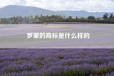 罗蒙的商标是什么样的