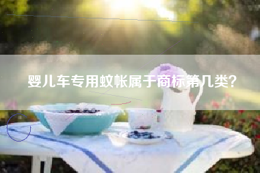 婴儿车专用蚊帐属于商标第几类？