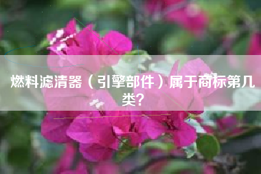 燃料滤清器（引擎部件）属于商标第几类？