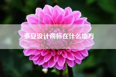 泰安设计商标在什么地方