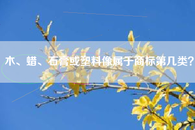 木、蜡、石膏或塑料像属于商标第几类？