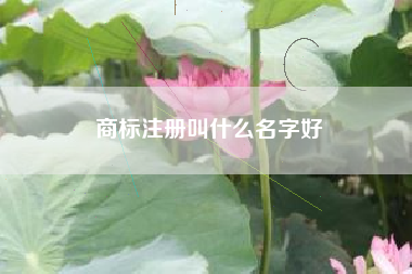 商标注册叫什么名字好