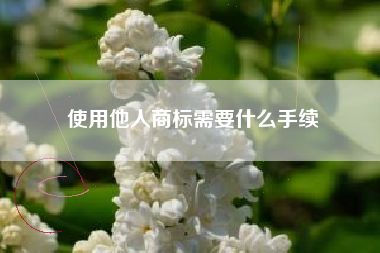 使用他人商标需要什么手续