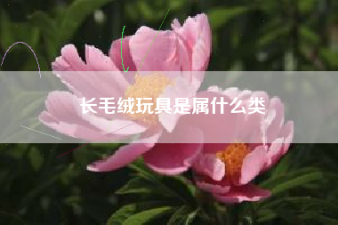 长毛绒玩具是属什么类