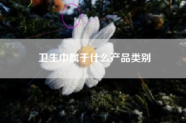 卫生巾属于什么产品类别
