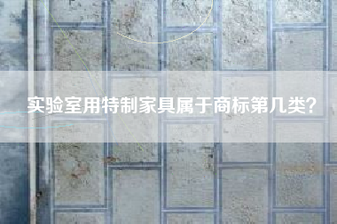 实验室用特制家具属于商标第几类？