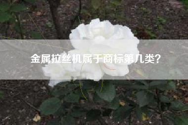 金属拉丝机属于商标第几类？