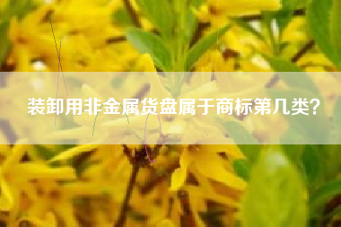 装卸用非金属货盘属于商标第几类？
