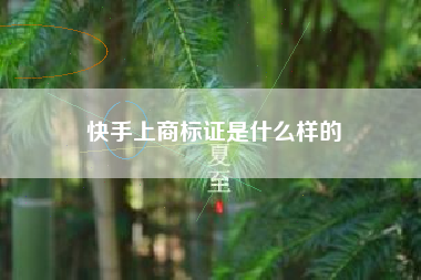快手上商标证是什么样的