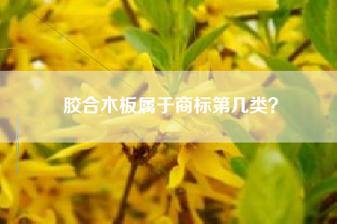 胶合木板属于商标第几类？