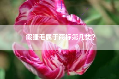 假睫毛属于商标第几类？