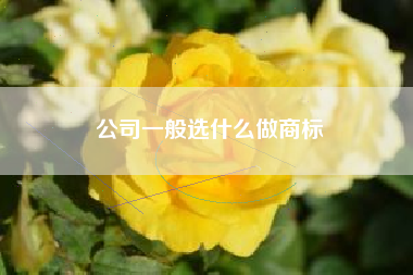 公司一般选什么做商标