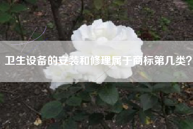 卫生设备的安装和修理属于商标第几类？