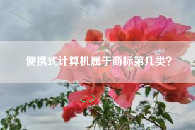 便携式计算机属于商标第几类？
