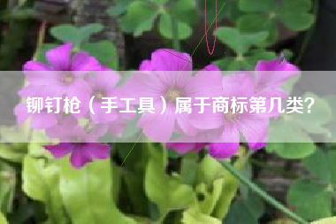 铆钉枪（手工具）属于商标第几类？