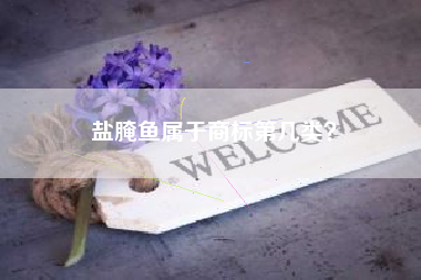 盐腌鱼属于商标第几类？